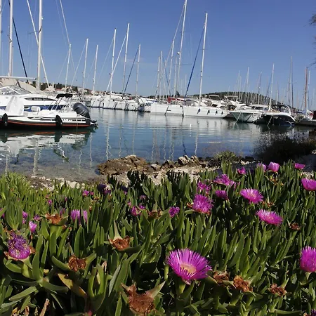 Marina Frapa - Otok 4*