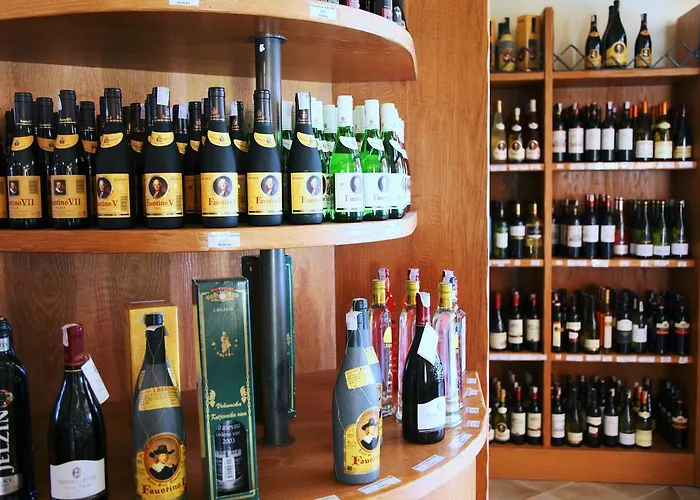 Hotel Marina Frapa - Otok 4*