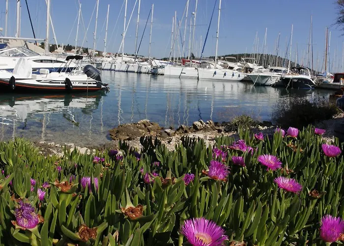 Marina Frapa - Otok 4*